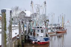 Winterliches Neuharlingersiel 7014